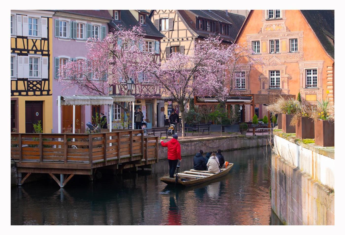 Maison Avec Terrasse Colmar Centre-Cottage Garden Terrace Center Old Town Colmar Exterior foto