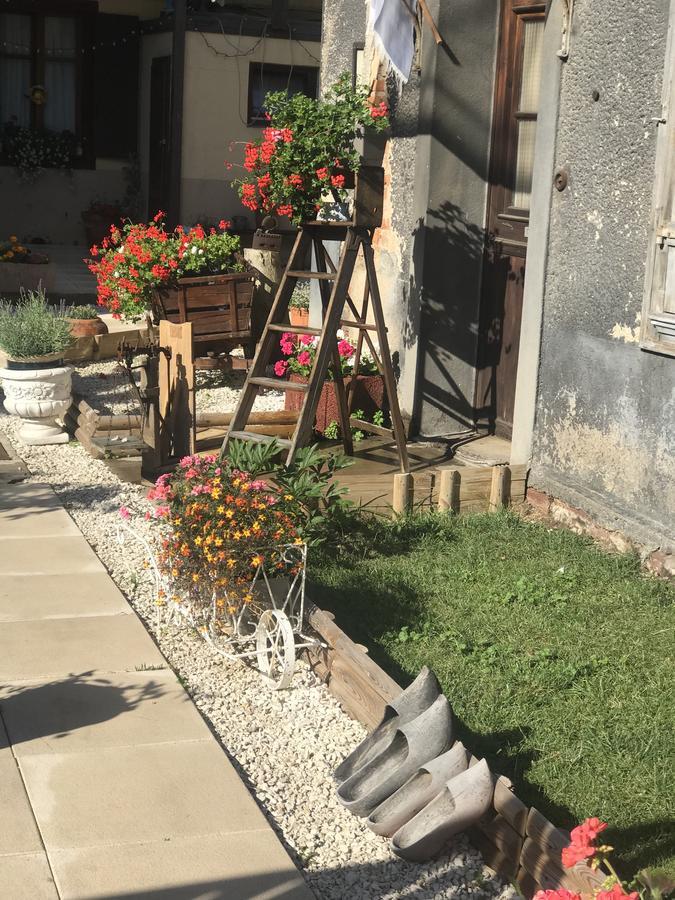 Maison Avec Terrasse Colmar Centre-Cottage Garden Terrace Center Old Town Colmar Exterior foto